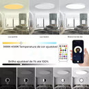 Luz de Teto RGB Inteligente com Controle Remoto